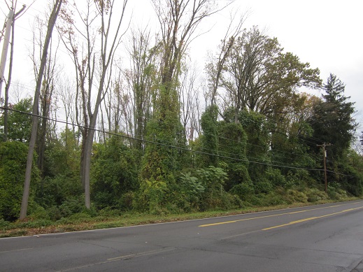 Boy Scout Preserve
