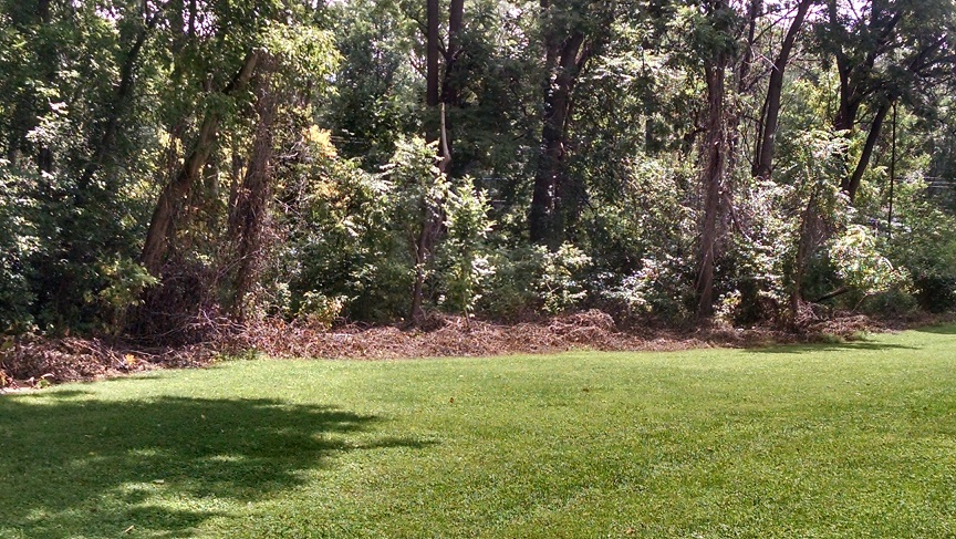 Boy Scout Preserve