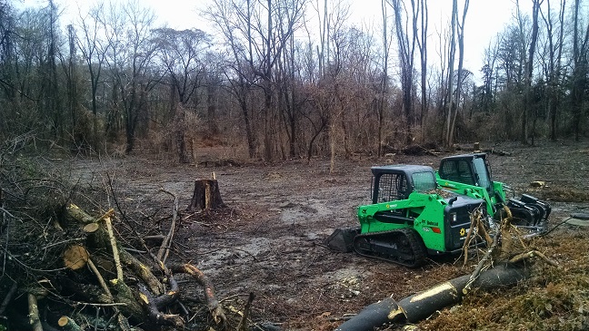 Boy Scout Preserve