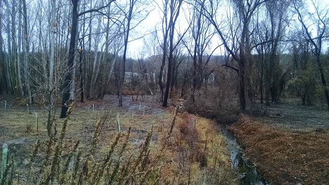 Boy Scout Preserve