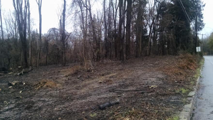 To the mud-11-22-19 